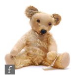 A 1930s British Merrythought Magnet teddy bear, celluloid button to ear, golden mohair,