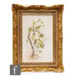 A large framed Royal Worcester hand painted plaque decorated by E. Townsend with Goldcrests (Regulus