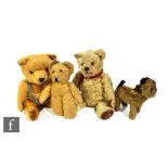 A collection of 1940s teddy bears, including a golden mohair bear with shaved pronounced snout and