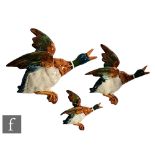 A set of three graduated Beswick flying ducks, models 596-0, 596-2 and 596-4, all with printed