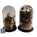 A pair of Victorian still life studies beneath glass domes, to include dried flowers, seashells, a