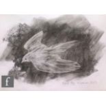 Robert Perry - Charcoal on white ground, dove in flight, 210mm x 300mm, unframed.