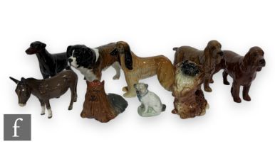 A collection of later 20th Century Beswick figures of dogs to include a doberman, two cocker spaniel