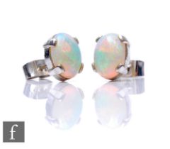 A pair of 18ct white gold opal stud earrings, claw set oval stones, length 10mm, total weight 3.4g.