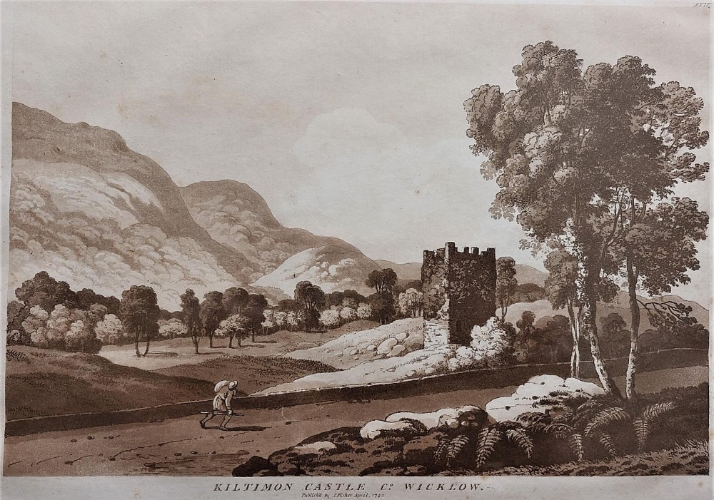 After Jonathan Fisher, Irish (1740 - 1809) A set of 4 sepia engraved Prints, to include: * View of - Image 4 of 8