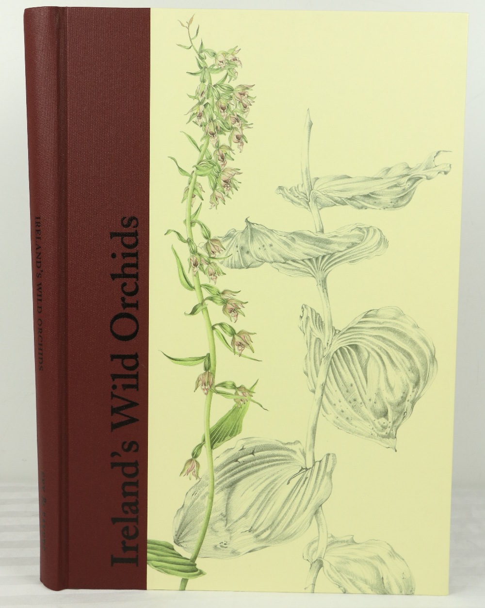 Sex (Susan) illus & Sayers (Brendan) Ireland's Wild Orchids, folio. Belfast (Nicholson & Bass) - Bild 2 aus 5