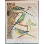 Published by V. Brooks Day & Son, After W. Rutledge Coloured Prints: A very attractive and colourful