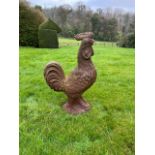 A cast iron model of a Rooster, approx. 36" high. (1)