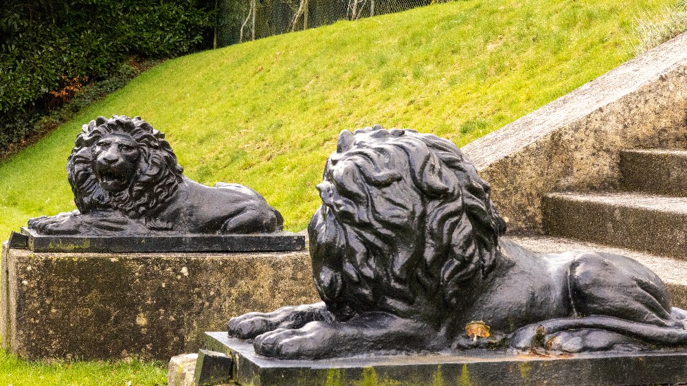 A large pair of heavy bronzed cast iron Figures, of recumbent lions one facing left with open mouth,