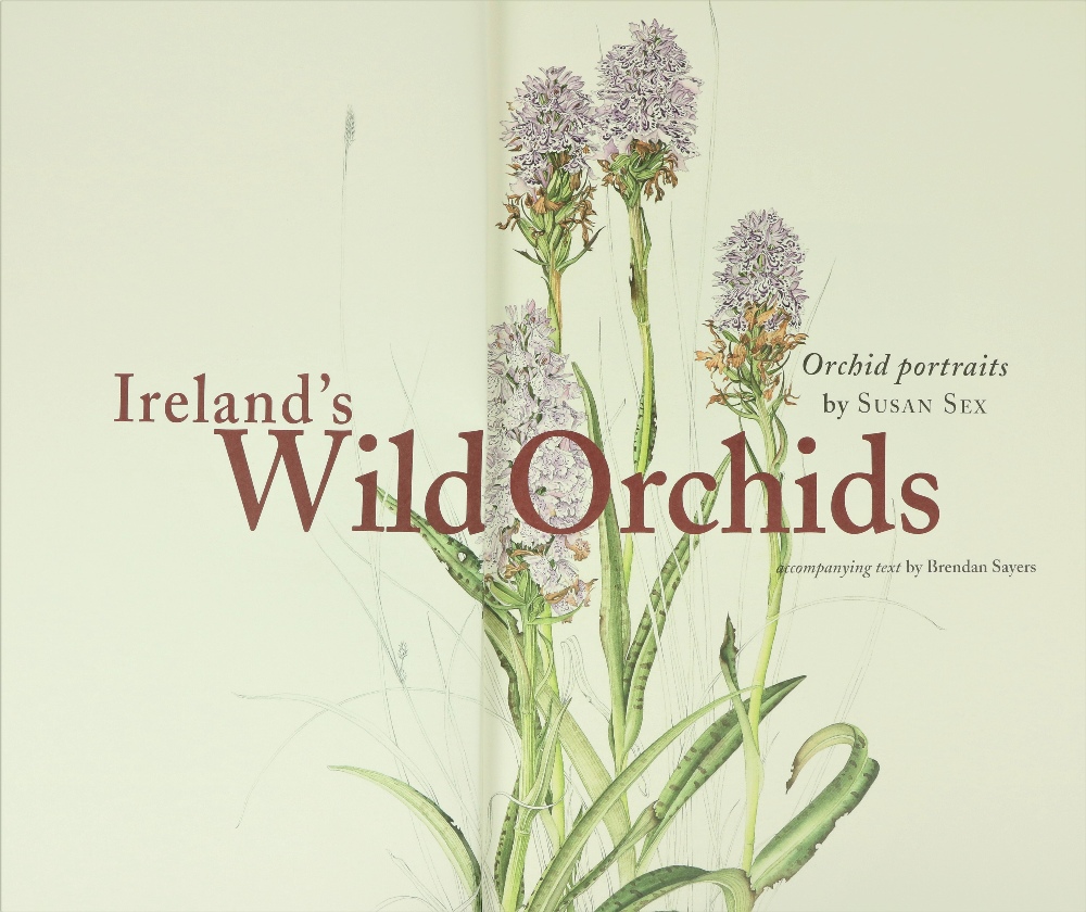 Sex (Susan) illus & Sayers (Brendan) Ireland's Wild Orchids, folio. Belfast (Nicholson & Bass)