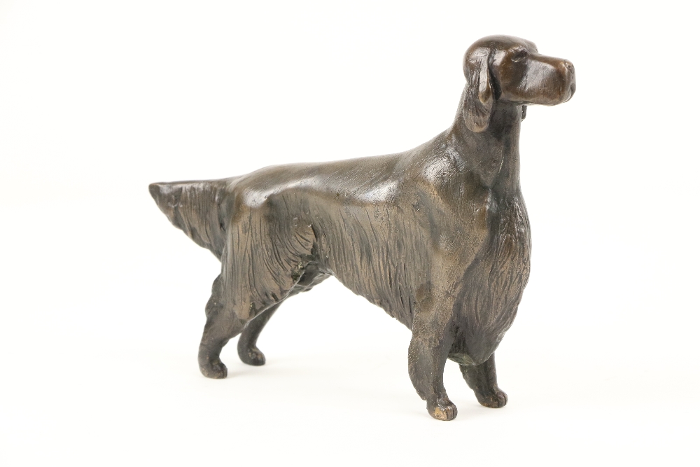 R.A.F. A bronze Study of a standing Setter, Edition 1/3, 24cms (9 1/2"). (1)