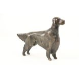 R.A.F. A bronze Study of a standing Setter, Edition 1/3, 24cms (9 1/2"). (1)