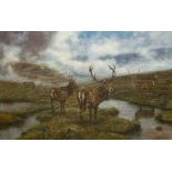 John Trickett, British (b. 1953) "Stag and Deer in Misty Highland Marsh," O.O.C., approx. 61cms x
