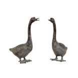 A pair of heavy bronze and attractive models of Geese, each approx. 34cms high (13 1/2"). (1)