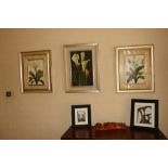 A collection of 3 colourful Still Life Flower Prints, various sizes and two Photographs. (5)