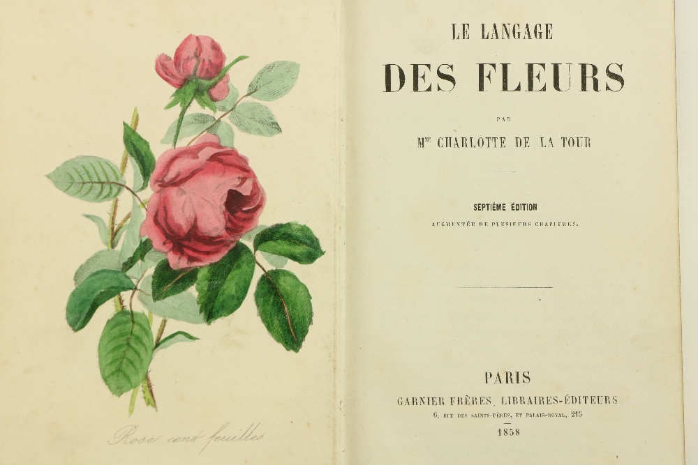 Attractive Hand-Coloured Plates de la Tour (Mme. Charlotte) Le Langage Des Fleurs, sm. 8vo Paris - Image 2 of 3