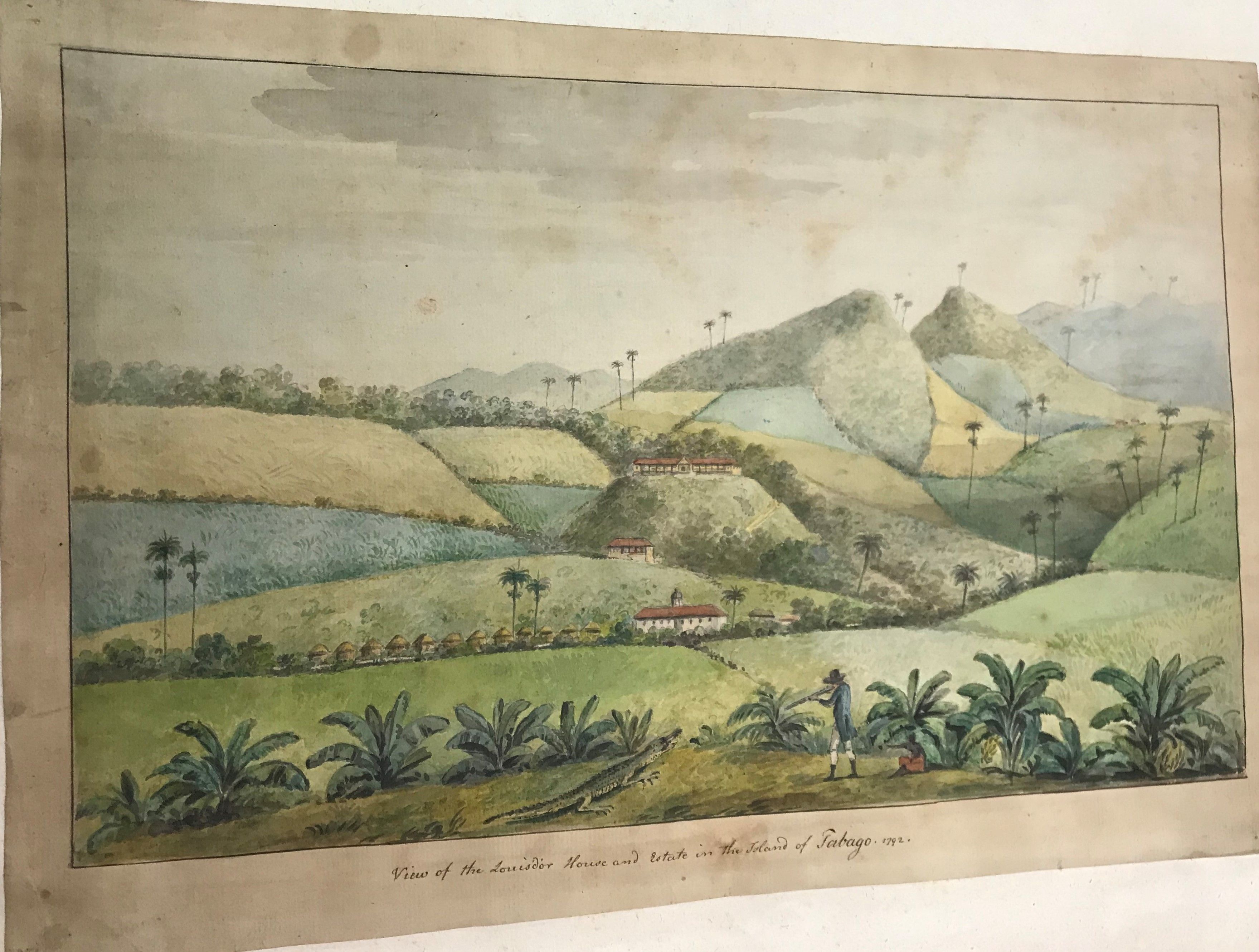 The West Indies, C. 1792, by Sir William Young Colonial Watercolours, etc. A highly important - Image 11 of 16