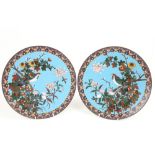 A good pair of circular Japanese cloisonné Wall Platters, each decorated in polychrome with a bird