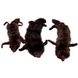 Three good Fox fur Stoles. (3)