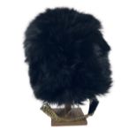 Royal Dublin Fusiliers Militaria: A rare cased original bear skin Hat, housed in metal container