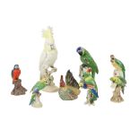 A collection of 8 colourful porcelain Figures of exotic birds, 41cms (16"), the largest and 15cms (