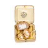 An attractive oval shaped landscape Cameo, with classical scene set in gold mount; together with a