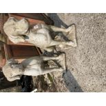 A pair of attractive composition Statues of seated Dogs, each approx. 71cms (28'')h. (2)