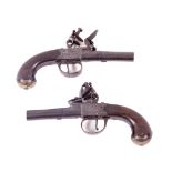 A good pair of English flintlock, boxlock Pocket Pistols, by Ketland & Co., each with 5cms (2")