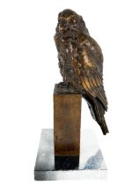 Sally Arnup, FRBS, ARCA (1930-2015) "Kestrel," bronze, Limited Edition, NO. 12 (12), signed  mounted