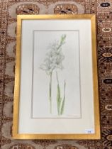 Wendy F. Walsh, Irish 1915-2014 'Gladiolus,' watercolour, Flower Study, approx. 46cms x 24cms (