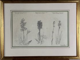Raymond Piper (1923-2007) "Four Flower Studies" in pencil, signed  and inscribed, dated 1968,