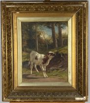 Alfred Grey RHA (1845-1926) "Young Calf at the edge of a Wood," O.O.C., signed L.L., 40.5cms x 31cms