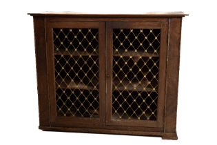 A 19th Century mahogany Side Cabinet, with rectangular top above two brass trellis panel doors