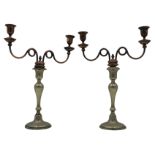 Coppia candelabri a due luci - Pair of candelabras with two lights