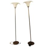 Coppia piantane - Pair of floor lamps