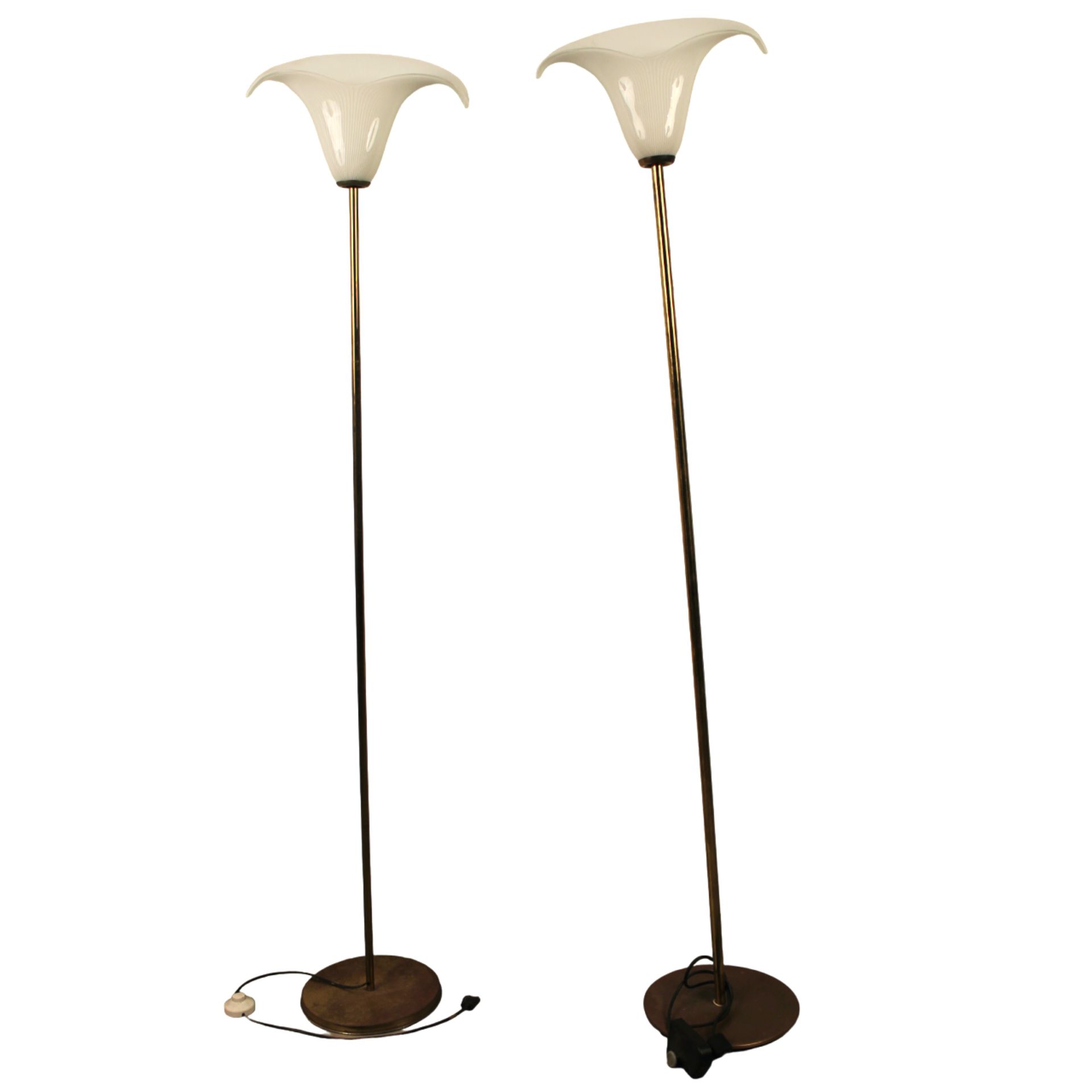 Coppia piantane - Pair of floor lamps