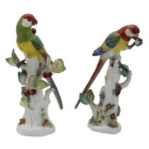 Due pappagalli Meissen - Two Meissen Parrots