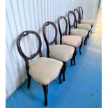 6 Victorian balloon back chairs