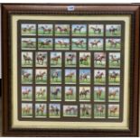 Framed Wills’ cigarette cards of racehorses, 28’ x 28”