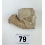 Clay pipe bowl with skull head
