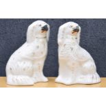 Pair of Staffordshire pottery dogs with gilded collars, 8.5'' high