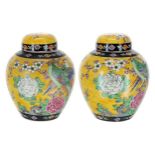 Pair of Chinese porcelain ginger jars and covers, each decorated with exotic birds and traditional