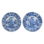 Pair of Chinese export blue and white porcelain plates, decorated with pheasants on rocks within
