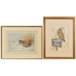 After Archibald Thorburn - Limited edition print of a woodcock numbered 314/500, colour reproduction