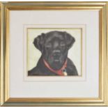 Catherine Pesina (20th/21st Century) - study of a black labrador wearing a red collar, signed and