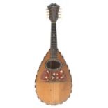 Neapolitan mandolin labelled Ferrari & Co...Napoli, Made in Italy, with chevron banded spruce