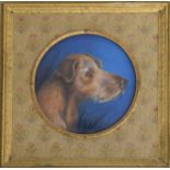 English School 20th century, portrait miniature of a dog, head and shoulders, watercolour and