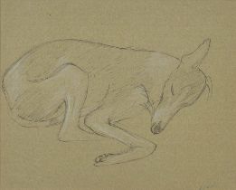 Caroline Osborne (Duchess of Leeds) (1931-2005) - Study of a dog, a preparatory sketch, signed