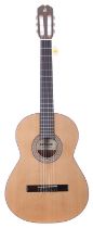 Admira Concerto classical guitar; Back and sides: Indian rosewood; Top: natural cedar; Neck: