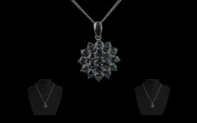 Ladies 9ct White Gold Sapphire Set Penda